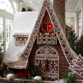 WDW2007-151