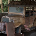 WDW2007-157