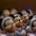 WDW2007-171