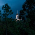 WDW2007-202