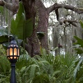 WDW2007-220