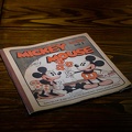 WDW2007-234