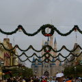 WDW2007-318
