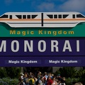 WDW2007-339