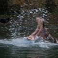 WDW2007-375