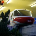 WDW2007-541