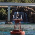 Disneyland2007-022