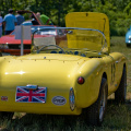 EuroCarDay07-06