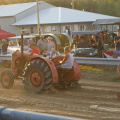 Pageant of Steam 2007-26