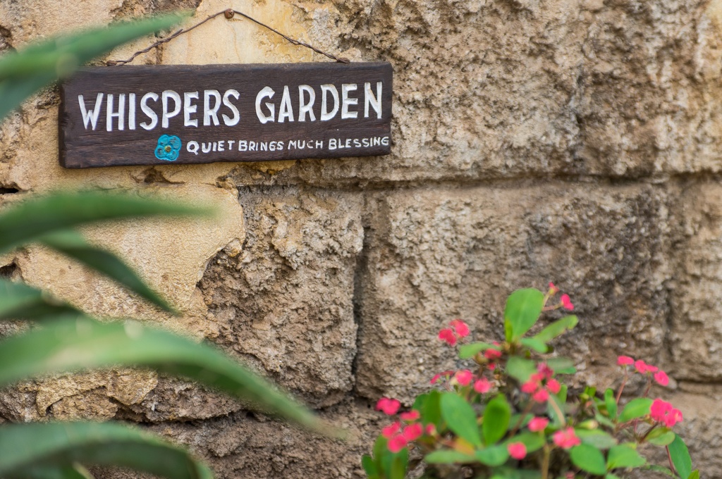 WDW201505-116.jpg