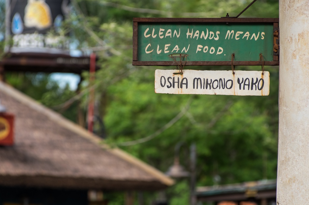 WDW201505-117.jpg