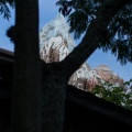 WDW201505-119