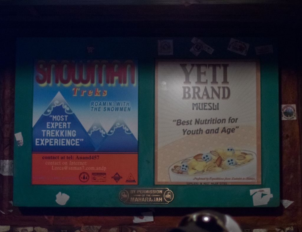 WDW201505-120.jpg