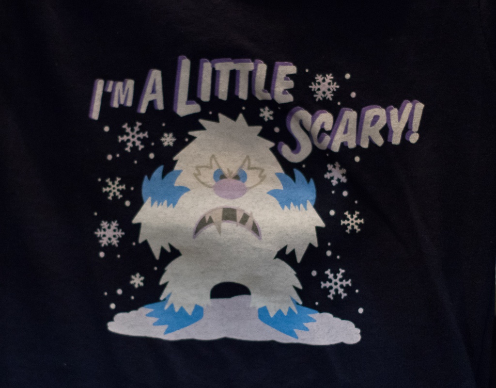 WDW201505-125.jpg