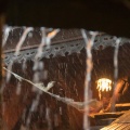 WDW201508-001