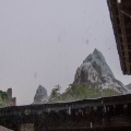 WDW201508-002