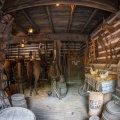 WDW201508-049