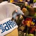 WDW201508-065