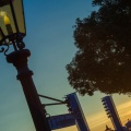 WDW201508-075