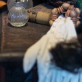 WDW201508-096