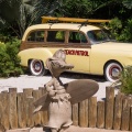 WDW201508-224