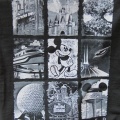 WDW201508-233