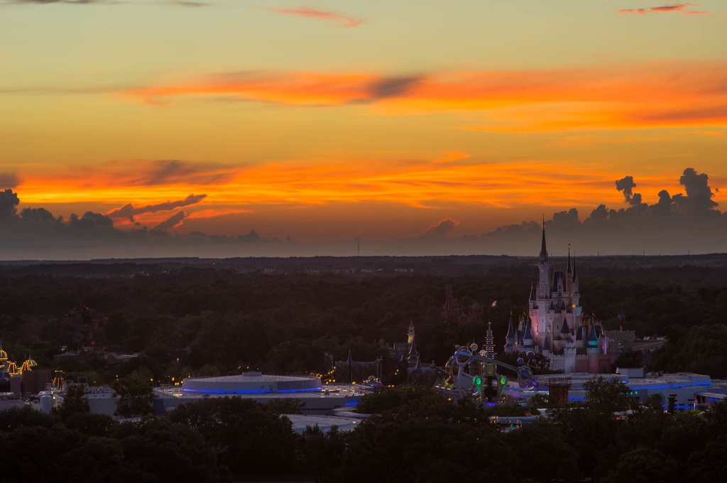 WDW201508-316.jpg