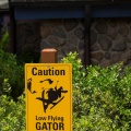 WDW201508-331