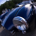 WGVR2008-019