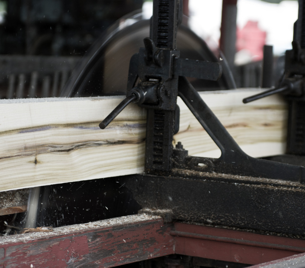 Pageant of Steam 2008-19