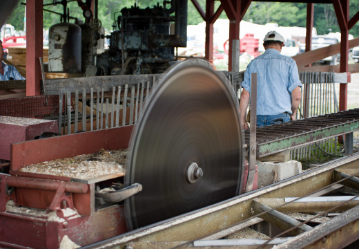 Pageant of Steam 2008-21