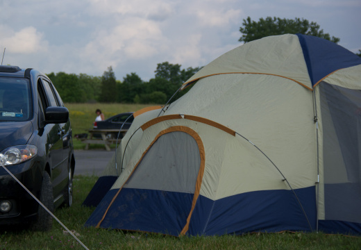 SampsonStatePark2009-02