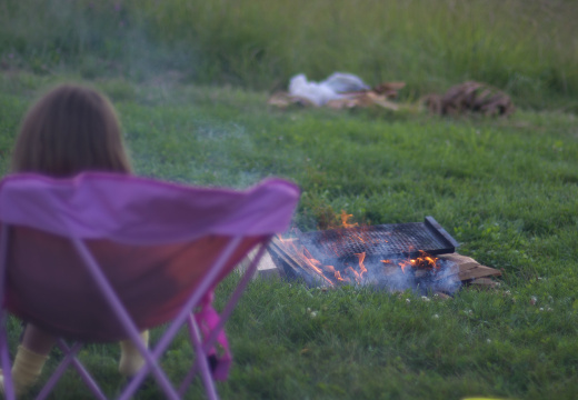 SampsonStatePark2009-03