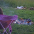 SampsonStatePark2009-03