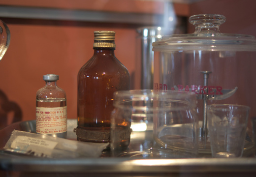 SampsonStatePark2009-20