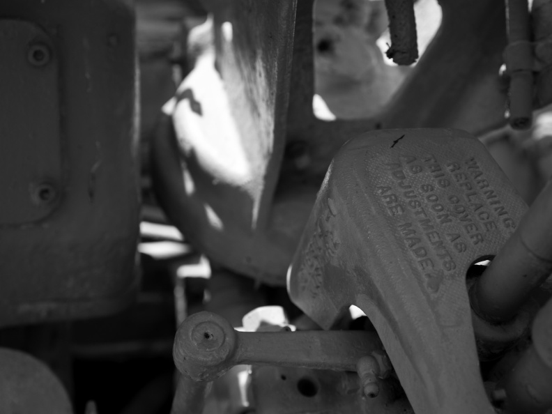 SampsonStatePark2009-38