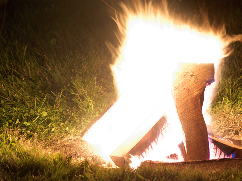 SampsonStatePark2009-50