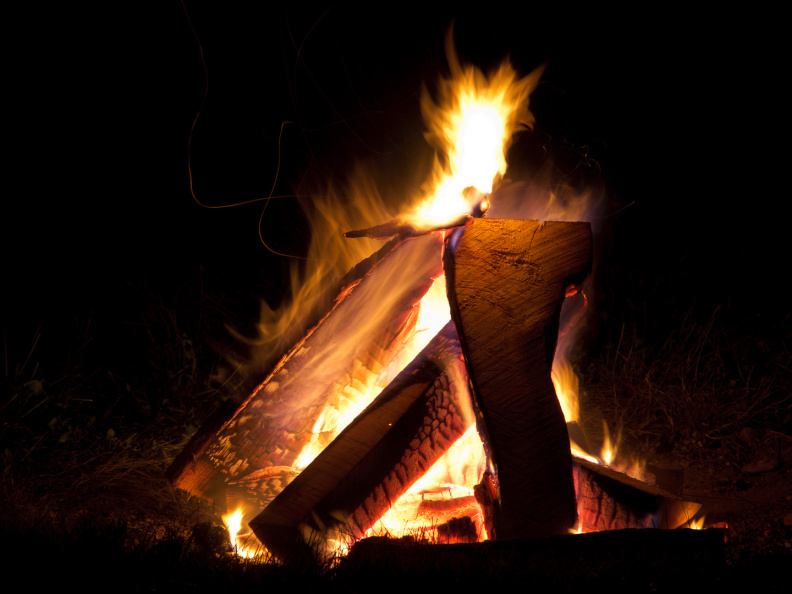 SampsonStatePark2009-52