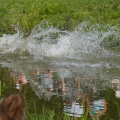 SterlingRen2008-13