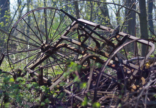 OldFashionedDay2009-01