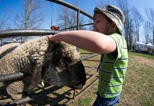 OldFashionedDay2009-08