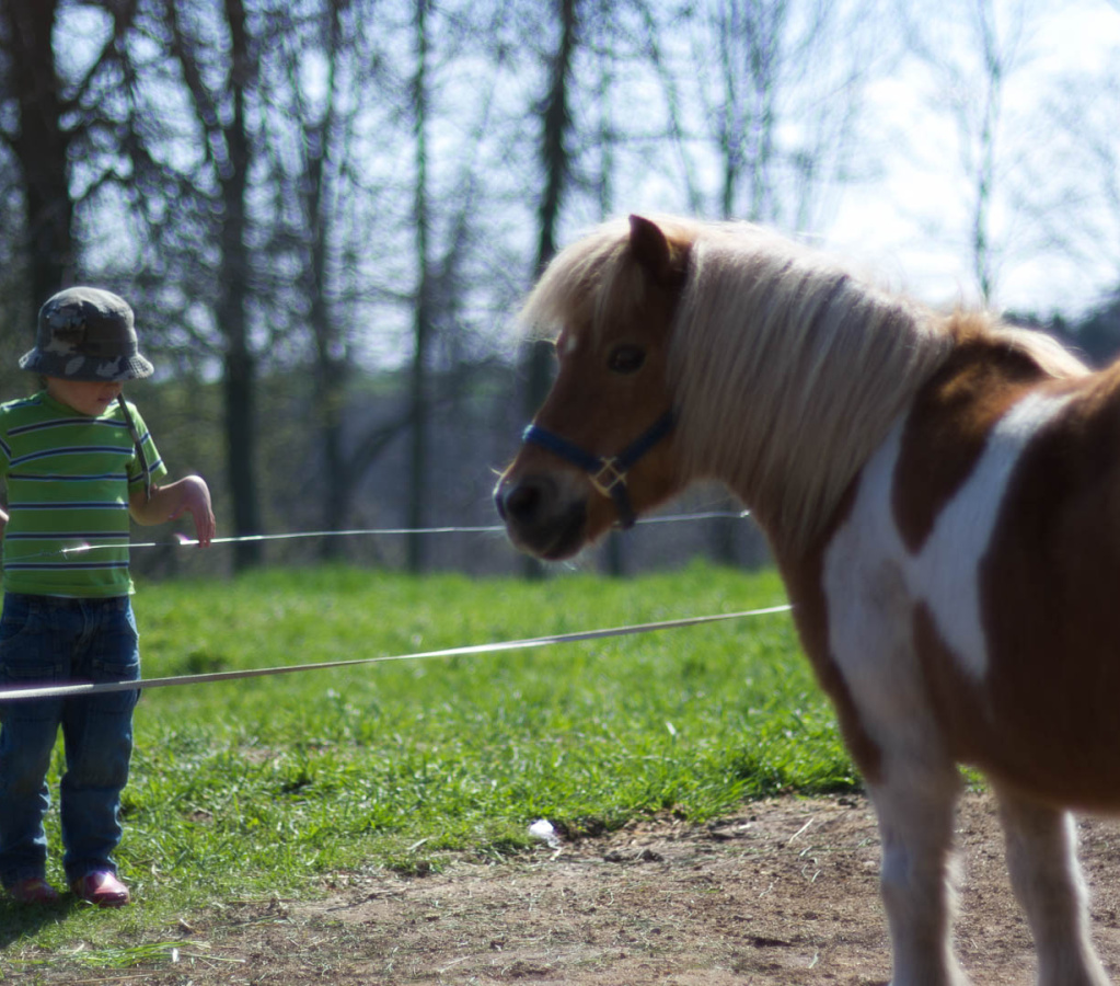 OldFashionedDay2009-09