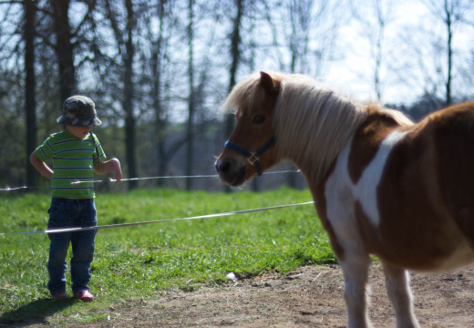 OldFashionedDay2009-09