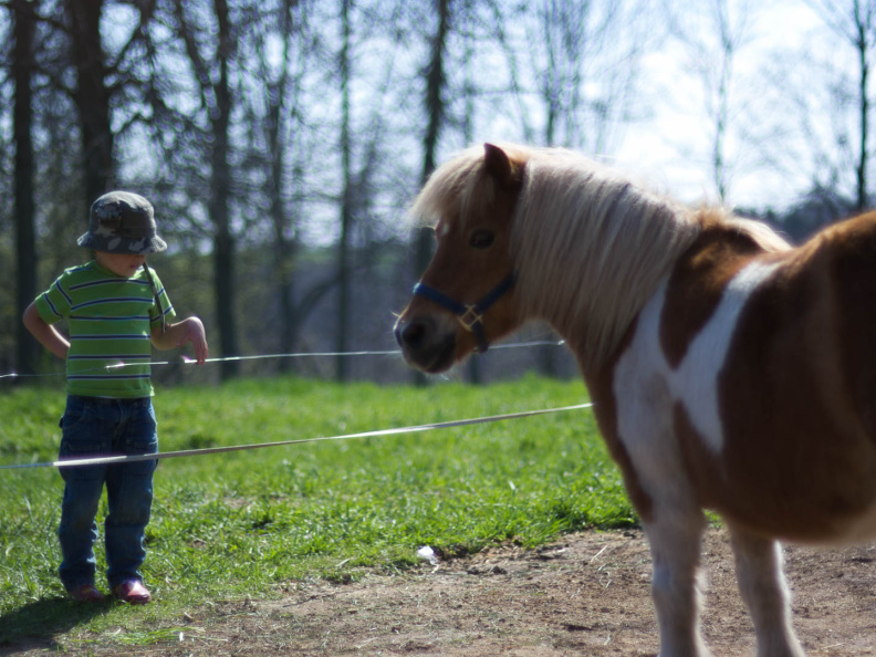 OldFashionedDay2009-09