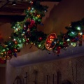 WDW2011-002