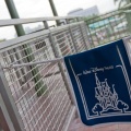 WDW2011-006
