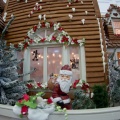 WDW2011-018