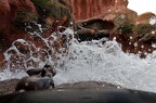 WDW2011-051