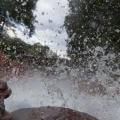 WDW2011-057