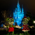 WDW2011-118